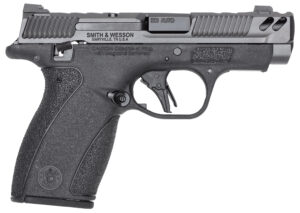 S&W BODYGRD 2 CC 380ACP 3.1 12RD TS