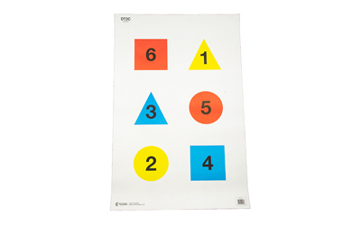ACTDT-2C-100_1.jpg ACTION TGT COMMAND TRNG TGT 100PK