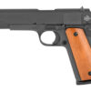 ARM51421_1.jpg ROCK ISLAND 1911 45ACP 5" 8RD PRKD