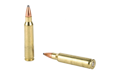 ARMAC223-2N_4.jpg ARMSCOR 223REM 55GR PSP 20/1000