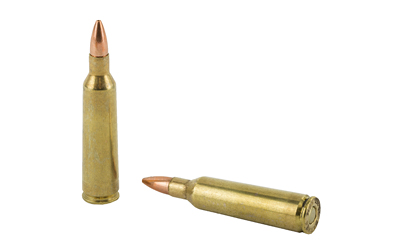 BB2225XFB1_4.jpg BARNES VOR-TX 22-250 50GR TSX 20/200