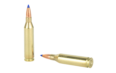 BB243W1_4.jpg BARNES VOR-TX 243WIN 80GR TTSX BT 20