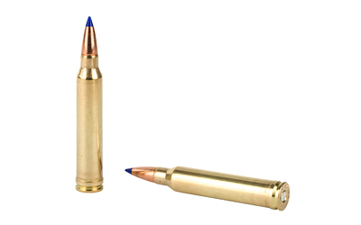 BB300WM3_4.jpg BARNES VOR-TX 300WIN 180GR TTSX BT