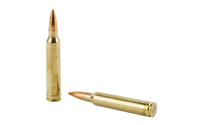 BB300WMM1_4.jpg BARNES PREC MTH 300WIN 220GR 20/200