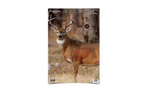 BC35401_1.jpg B/C PREGAME DEER TGT 3-16.5X24