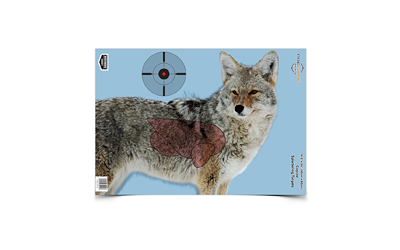 BC35405_1.jpg B/C PREGAME COYOTE TGT 3-16.5X24