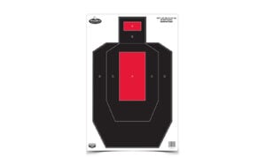 BC35743_1.jpg B/C DIRTY BIRD IPSC PRCTCE TRGT 3PK