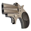 BONDBASTB-22LR_3.jpg BOND STUBBY 22LR 2.2" STS NO TG BLK