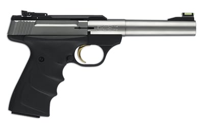 BRN BM CAMPER STS URX 22LR 5.5" 10RD