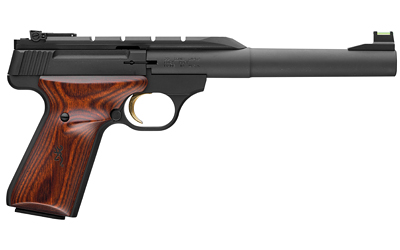 BRN051499490_1.jpg BRN BM HUNTER 22LR 7.25" 10RD BLK