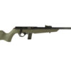 ROSSI RB 22LR 16" 10RD COMPACT ODG