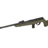 ROSSI RB 22LR 16" 10RD COMPACT ODG