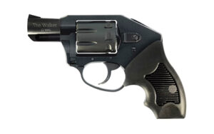 CH12311_1.jpg CHARTER ARMS WALKER 22WMR 2" 8RD BLK