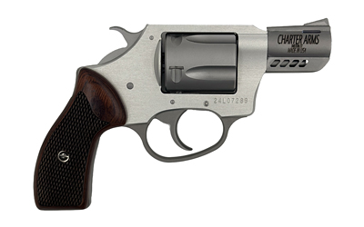CHARTER ARMS CYTE 380ACP 2" 5RD STS