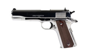 CT1911C-BS38_1.jpg COLT GOVT MODEL 38SUP 5" SS 9RD
