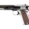 CT1911C-BS_1.jpg COLT GOVT MODEL 45ACP 5" SS 8RD