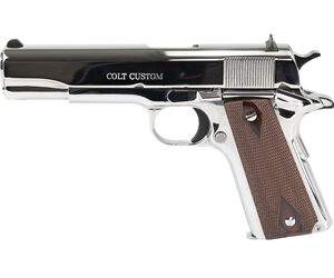 CT1911C-BS_1.jpg COLT GOVT MODEL 45ACP 5" SS 8RD