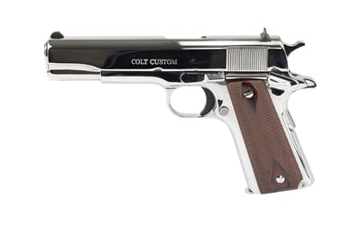 CT1911C-BS_1.jpg COLT GOVT MODEL 45ACP 5" SS 8RD