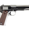 CT1911C-BS_2.jpg COLT GOVT MODEL 45ACP 5" SS 8RD
