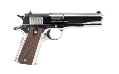CT1911C-BS_2.jpg COLT GOVT MODEL 45ACP 5" SS 8RD