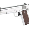 CT1911C-BS_3.jpg COLT GOVT MODEL 45ACP 5" SS 8RD
