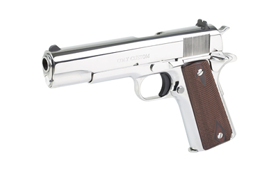 CT1911C-BS_3.jpg COLT GOVT MODEL 45ACP 5" SS 8RD