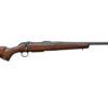 CZ07718_2.jpg CZ 600+ AMERICAN 243WIN 20" 5RD WLNT