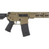 DBF DB15 300BLK 10" 30RD FDE BRACE