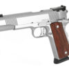DW POINTMAN SEVEN 45ACP STS 8RD CA