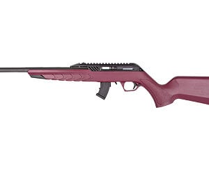 DYRTM22-STAN-BC-18_1.jpg DERYA TM22 22LR 18" 10RD BLK CHERRY