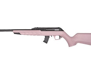 DYRTM22-STAN-PINK-18_1.jpg DERYA TM22 22LR 18" 10RD PINK