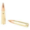 FIOCCHI RNG DYNA 300BLK 220GR 25/500