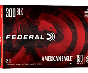 FEAE300BLK1_1.jpg FED AM EAGLE 300BLK 150GR FMJ 20/500