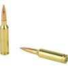FED GOLD MDL 6MMCRD 107GR SMK 20/200