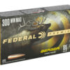 FEP300WBCH1_2.jpg FED PRM 300WIN 185GR HYB HTR 20/200