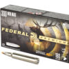 FED PRM 300WIN 180GR TRPHY TP 20/200