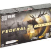 FED PRM 300WIN 180GR TRPHY TP 20/200
