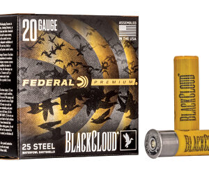 FEPWBX2092_1.jpg FED BLK CLOUD 20GA 3" #2 25/250