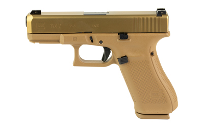 GLPV1950701X_2.jpg GLOCK 19X (V) 9MM 10RD GNS 3 MAGS