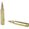 H80264_4.jpg HRNDY SF 223REM 75GR BTHP MTC 20/200