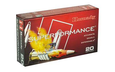 H80463_2.jpg HRNDY SF 243WIN 95GR SST 20/200