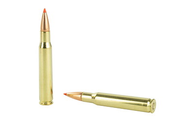 H81183_4.jpg HRNDY SF 30-06 180GR SST 20/200