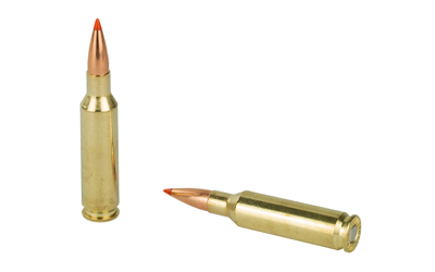 H81481_4.jpg HRNDY 6.5CREED 95GR VMAX 20/200