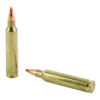 H83204_4.jpg HRNDY 204RUGER 32GR VMAX 20/200