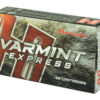 H8336_3.jpg HRNDY 22-250 50GR VMAX 20/200
