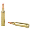 H83433_4.jpg HRNDY SF 243WIN 75GR VMAX 20/200