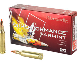 H8343_1.jpg HRNDY SF 243WIN 58GR VMAX 20/200