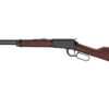 HENH001-22_1.jpg HENRY H1 CLASSIC 22LR 18.5" 15RD
