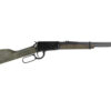 HENRY H1 GARDEN GUN 22LR 18.5" 15RD