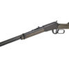 HENRY H1 GARDEN GUN 22LR 18.5" 15RD